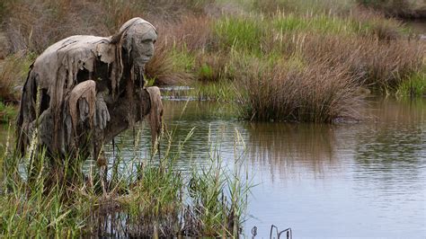 Caught in the Curse: True Stories of Encounter with the Swamp Creature